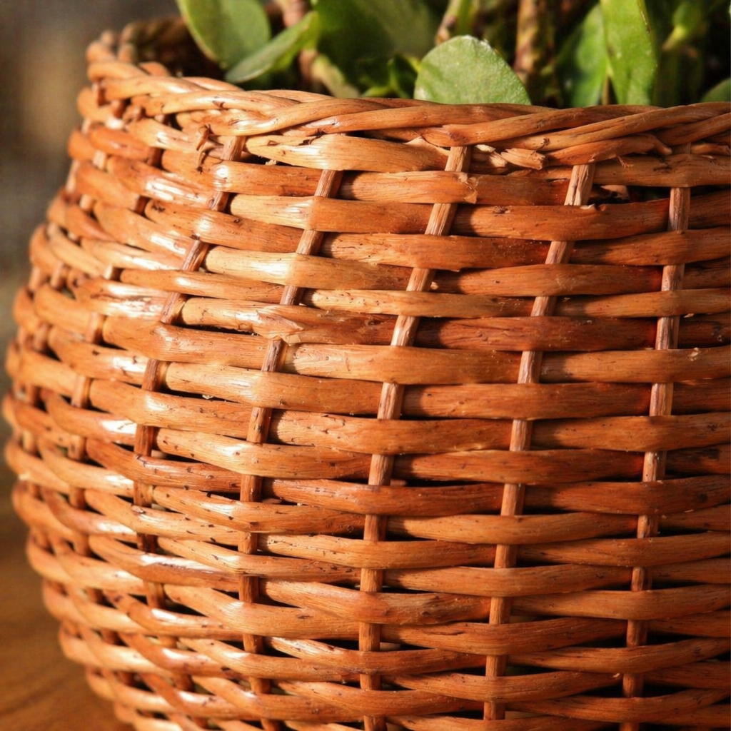 Natural Brown Kashmiri Willow Wicker Planter, The Art Wall. Handmade in India by House of Taraasha.