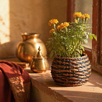 Indigo and Brown Kashmiri Willow Wicker Planter Trio, The Art Wall. Handmade in India by House of Taraasha.