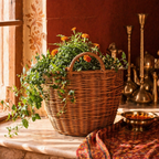 Willow Wicker Indoor Planter Kashmir Valley, The Art Wall. Handmade in India by House of Taraasha.