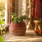 Rust and Brown Kashmiri Willow Wicker Planters, The Art Wall. Handmade in India by House of Taraasha.