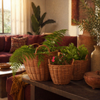 Willow Wicker Indoor Planter Kashmir Valley, The Art Wall. Handmade in India by House of Taraasha.