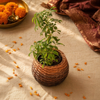 Brown to Indigo Kashmiri Willow Wicker Planter, The Art Wall. Handmade in India by House of Taraasha.